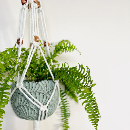 Macrame plant hanger with trailing boston fern Macrame plant hanger with trailing boston fern